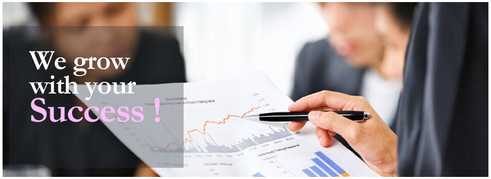 Consultancy Services